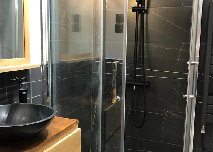 Appartement Studio 118 Rue Saint Charles 15 *